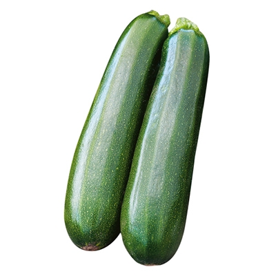 ZUCCHINO LUNGO SCURO - Biologiche - ERIDANO VIVAI - Piacenza