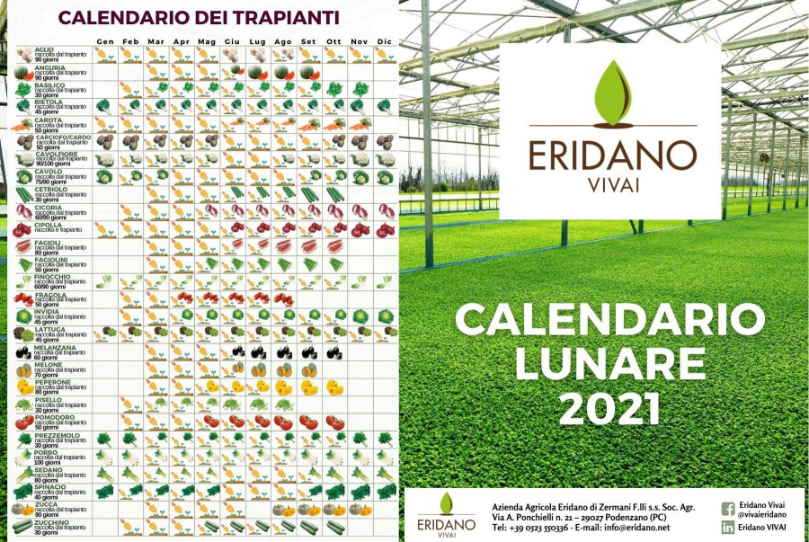 News ERIDANO VIVAI Piacenza