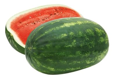 Anguria Ta ANGURIA ALLUNGATA GIGANTE F1 - ANGURIA - ERIDANO VIVAI - Piacenza