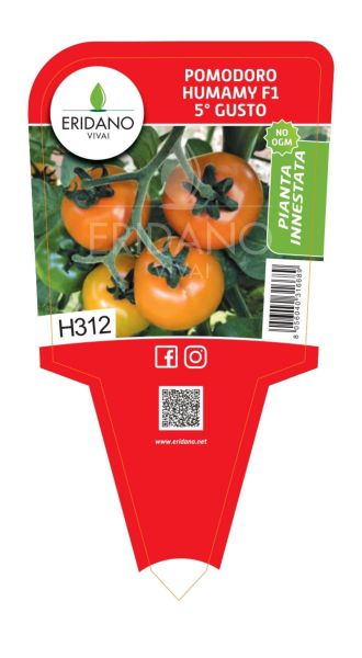 POMODORO HUMAMY 5° GUSTO INNESTATO - Pomodoro - ERIDANO VIVAI - Piacenza