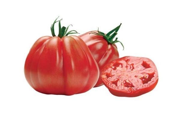 Piantina Di Pomodoro Cencara Innestato - Vaso 14cm, Pronta Per Trapianto, Vivaio Italiano - Foto 4